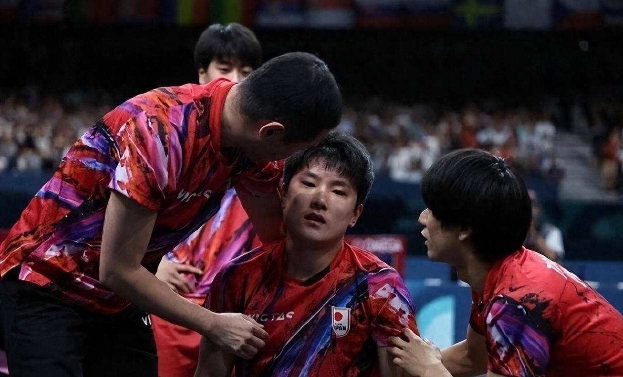 开云体育登录-比利时乒乓球队力克日本乒乓球队，张本智和送出助攻的简单介绍
